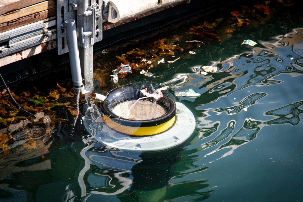 Seabin at ANMM wharf