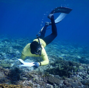 Be a Marine Biologist for a Day