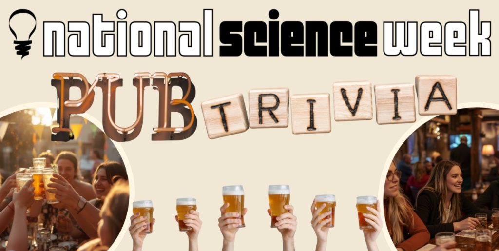 Pub Trivia in your pyjamas image