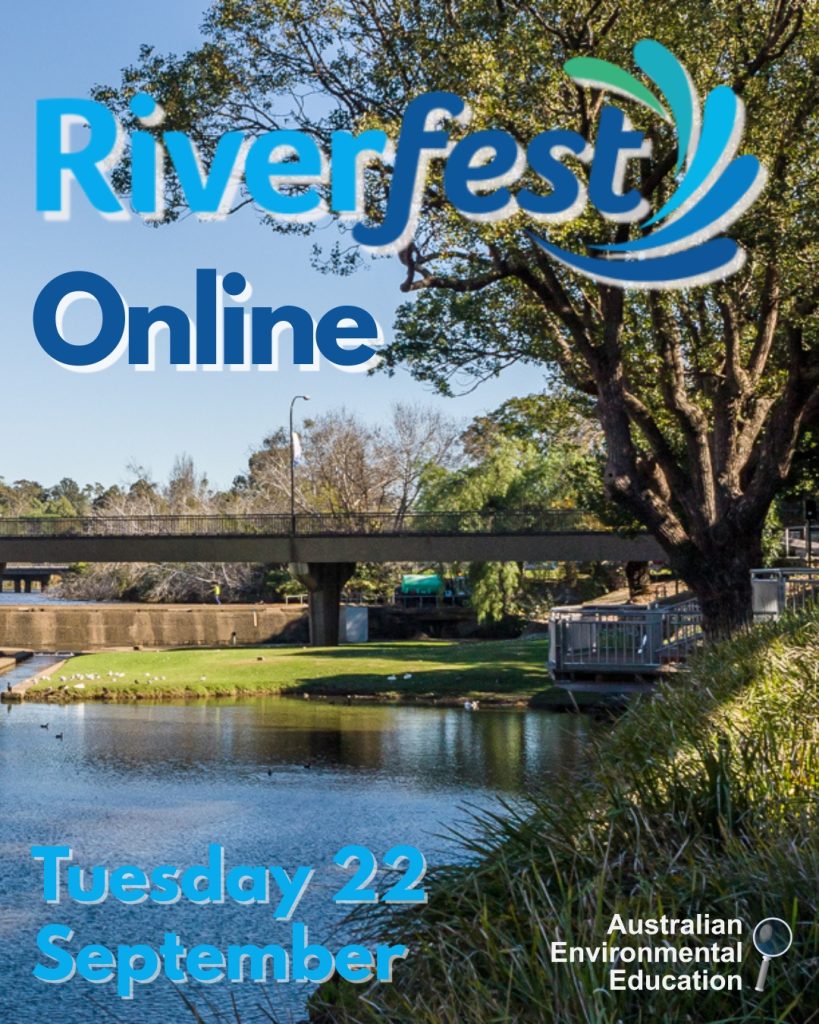 RiverFest Online