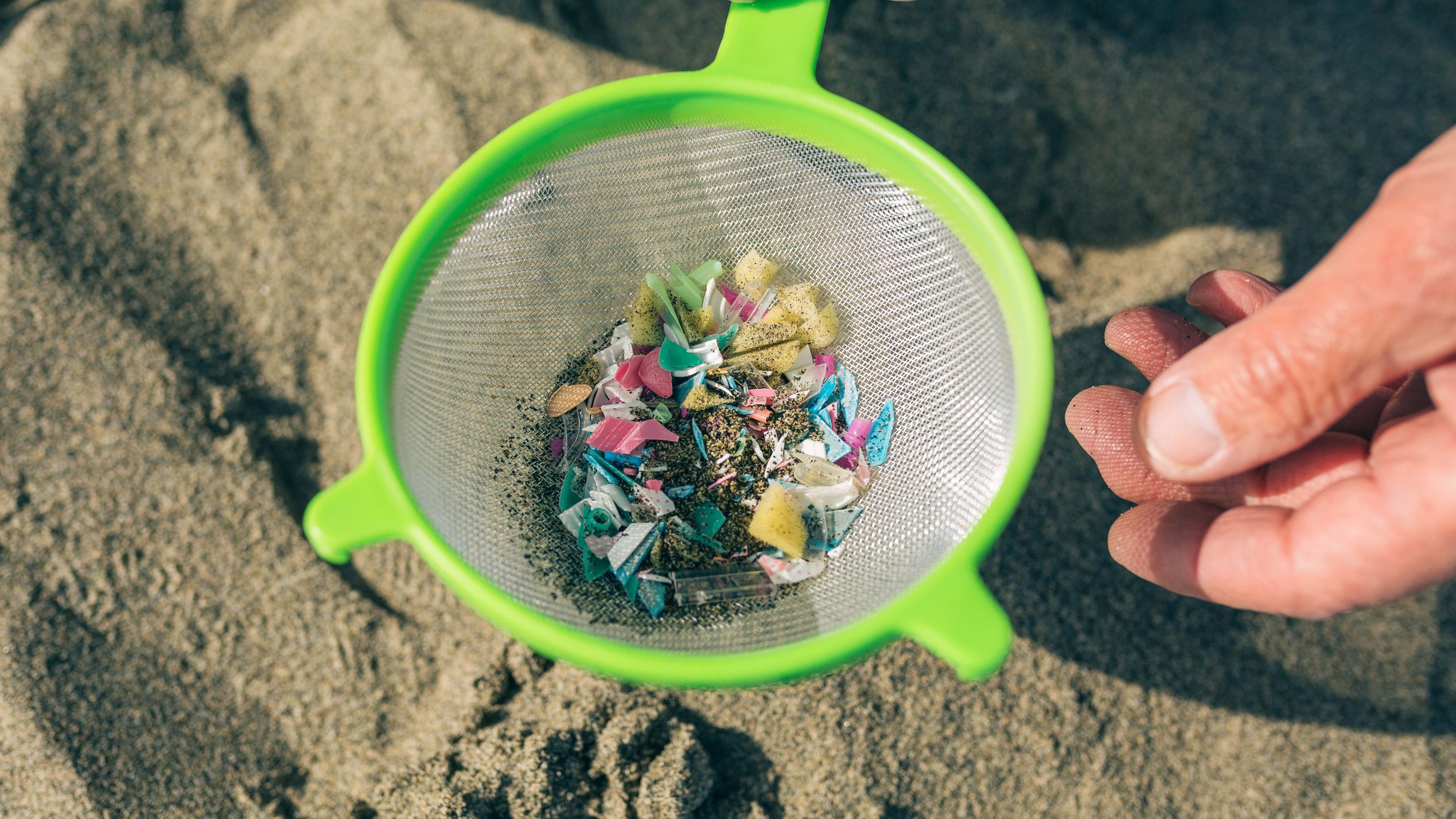 Detail of hands holding colander with microplastics on the beach